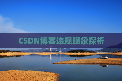 CSDN博客违规现象探析
